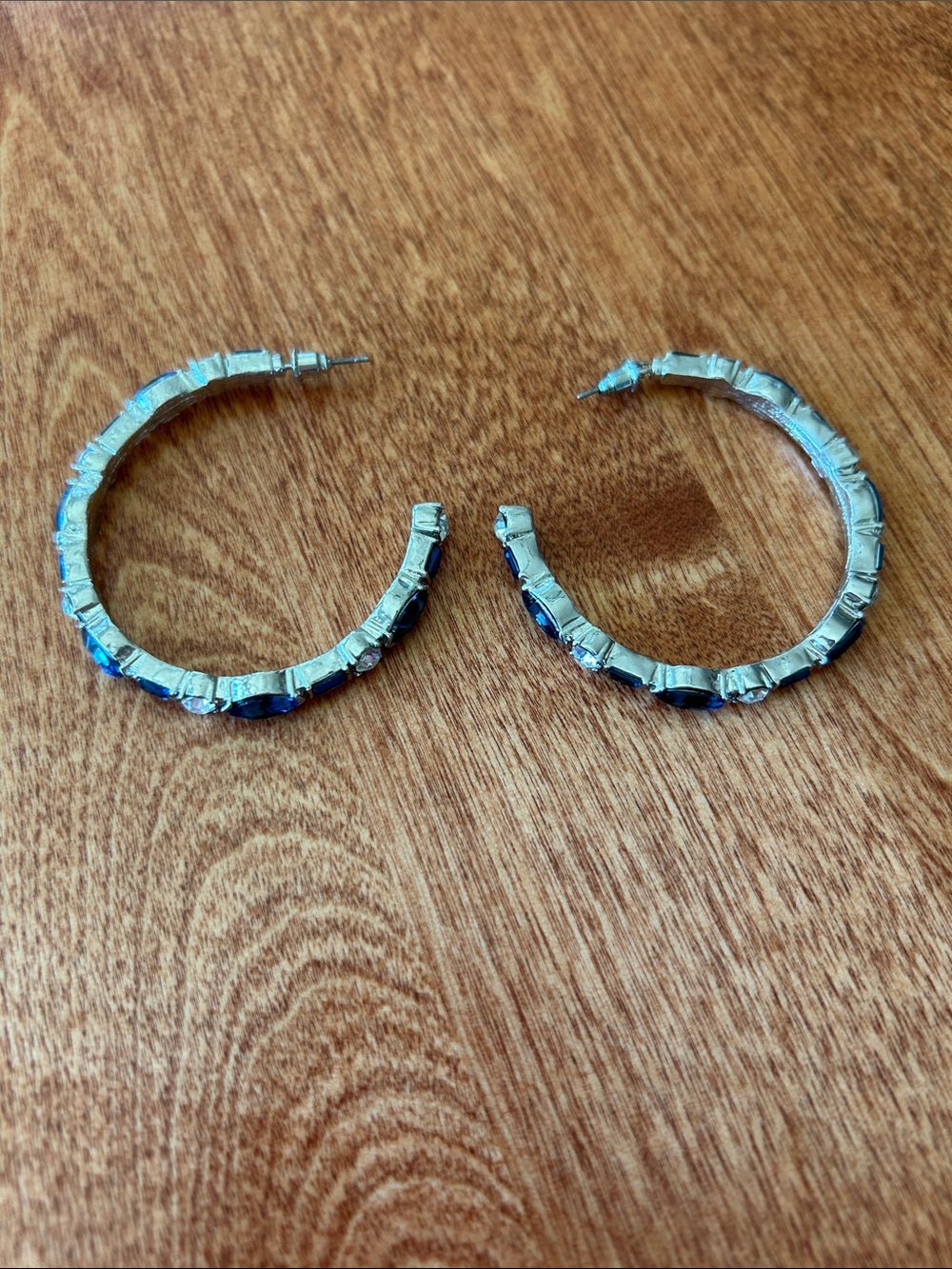 Paparazzi Jeweled Hoop Earrings